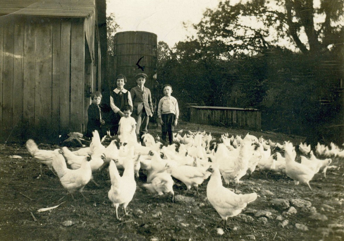 Hardin Valley Farm Photos